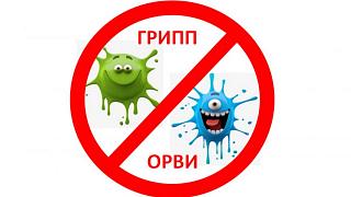 Информация о мерах индивидуальной и общественной профилактики  гриппа, значимости и эффективности вакцинации, вреде самолечения